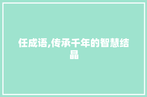 任成语,传承千年的智慧结晶
