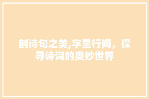 剖诗句之美,字里行间，探寻诗词的奥妙世界