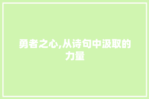 勇者之心,从诗句中汲取的力量