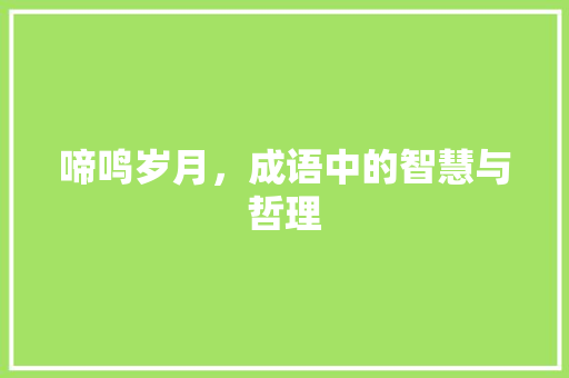 啼鸣岁月，成语中的智慧与哲理 英语单词