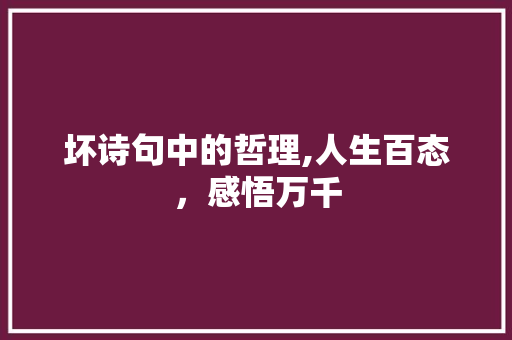坏诗句中的哲理,人生百态，感悟万千 汉字拼音