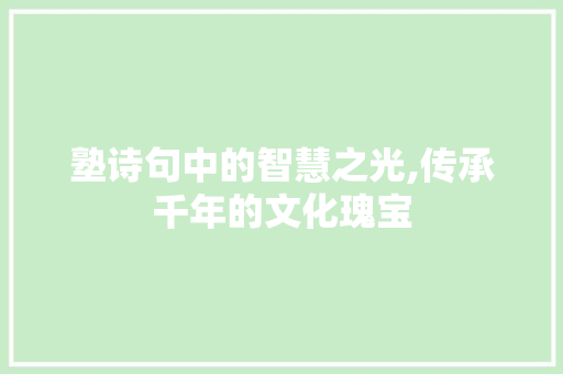 塾诗句中的智慧之光,传承千年的文化瑰宝 英语单词