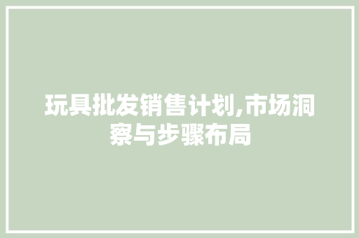 玩具批发销售计划,市场洞察与步骤布局
