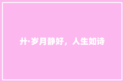 廾·岁月静好，人生如诗