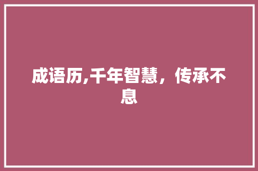 成语历,千年智慧，传承不息