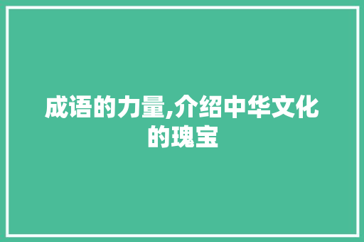 成语的力量,介绍中华文化的瑰宝