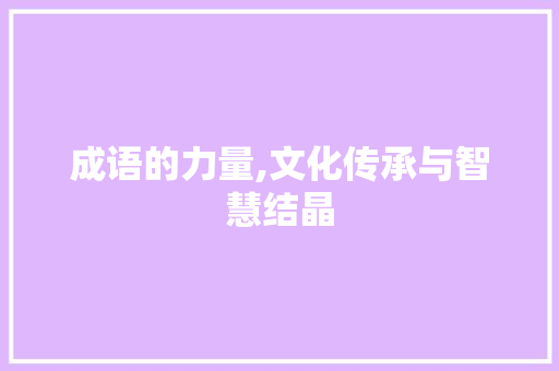 成语的力量,文化传承与智慧结晶
