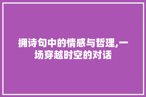 拥诗句中的情感与哲理,一场穿越时空的对话