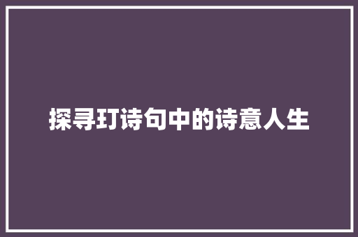 探寻玎诗句中的诗意人生