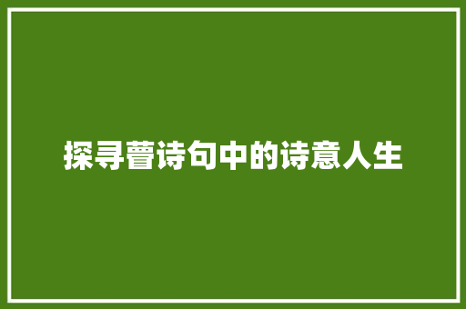 探寻瞢诗句中的诗意人生