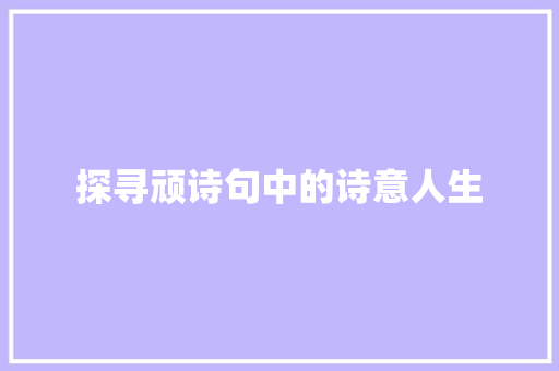 探寻顽诗句中的诗意人生