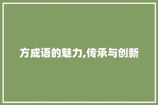 方成语的魅力,传承与创新