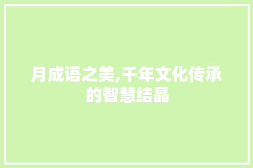 月成语之美,千年文化传承的智慧结晶