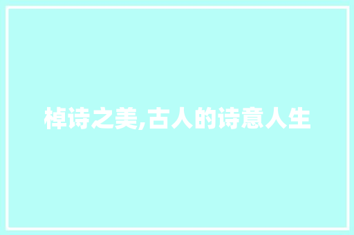 棹诗之美,古人的诗意人生