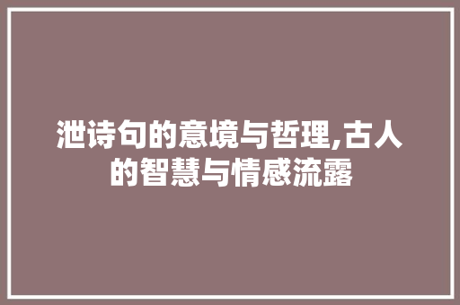 泄诗句的意境与哲理,古人的智慧与情感流露