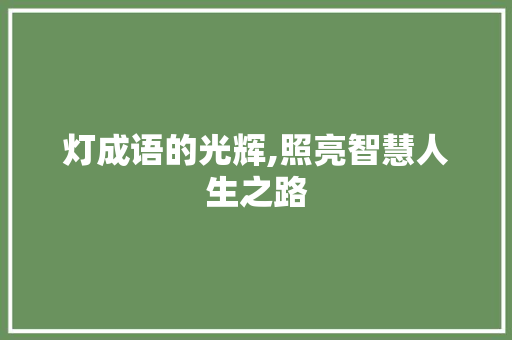 灯成语的光辉,照亮智慧人生之路