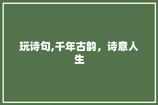 玩诗句,千年古韵，诗意人生