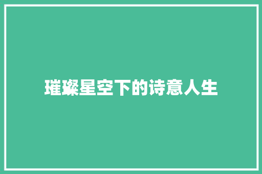璀璨星空下的诗意人生