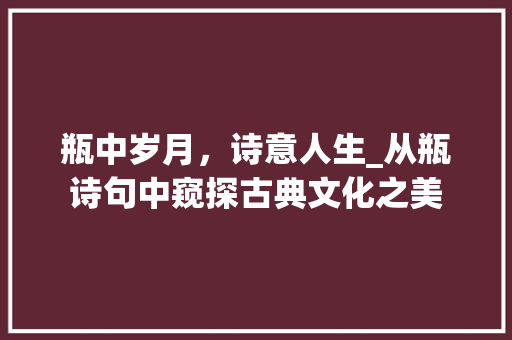瓶中岁月，诗意人生_从瓶诗句中窥探古典文化之美