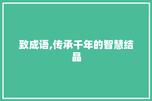 致成语,传承千年的智慧结晶