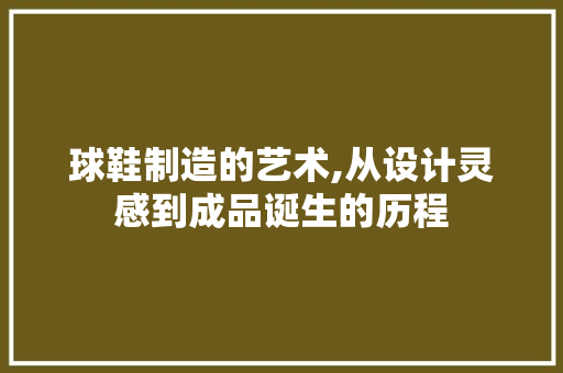 球鞋制造的艺术,从设计灵感到成品诞生的历程