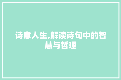 诗意人生,解读诗句中的智慧与哲理