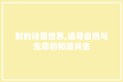 豺的诗意世界,追寻自然与生命的和谐共生