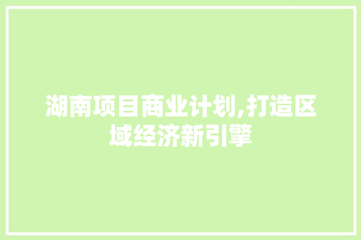 湖南项目商业计划,打造区域经济新引擎