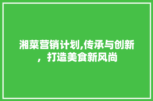 湘菜营销计划,传承与创新，打造美食新风尚