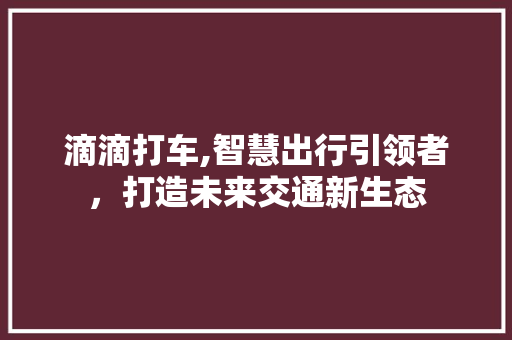 滴滴打车,智慧出行引领者，打造未来交通新生态