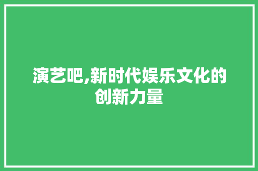 演艺吧,新时代娱乐文化的创新力量
