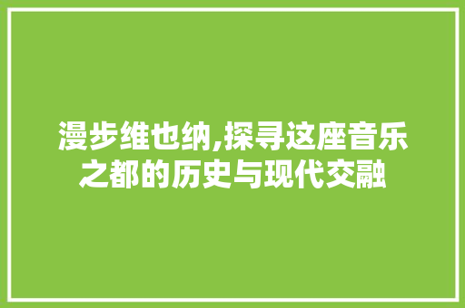 漫步维也纳,探寻这座音乐之都的历史与现代交融