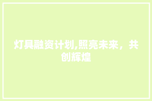 灯具融资计划,照亮未来，共创辉煌