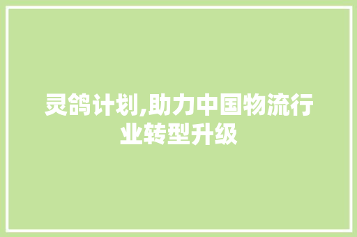 灵鸽计划,助力中国物流行业转型升级