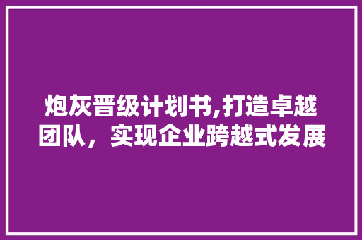 炮灰晋级计划书,打造卓越团队，实现企业跨越式发展