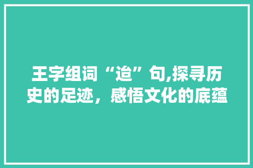 王字组词“迨”句,探寻历史的足迹，感悟文化的底蕴_王字组词迨句