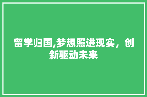 留学归国,梦想照进现实，创新驱动未来