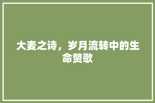 大麦之诗，岁月流转中的生命赞歌