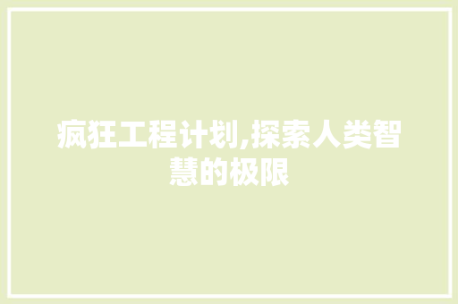 疯狂工程计划,探索人类智慧的极限