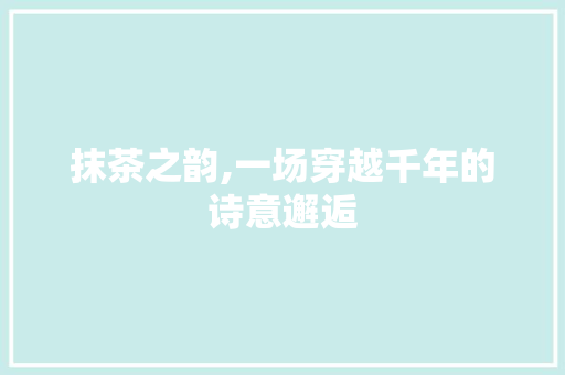 抹茶之韵,一场穿越千年的诗意邂逅