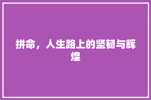 拼命，人生路上的坚韧与辉煌