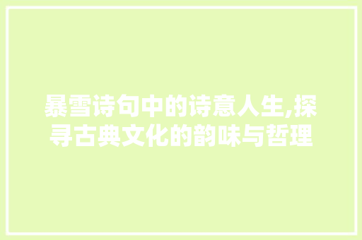 暴雪诗句中的诗意人生,探寻古典文化的韵味与哲理 反义词汇
