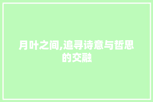 月叶之间,追寻诗意与哲思的交融