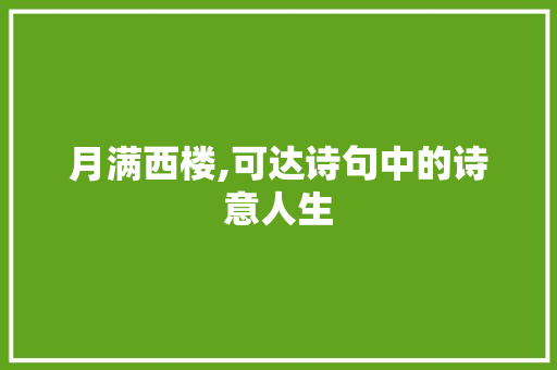 月满西楼,可达诗句中的诗意人生