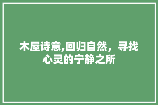 木屋诗意,回归自然，寻找心灵的宁静之所