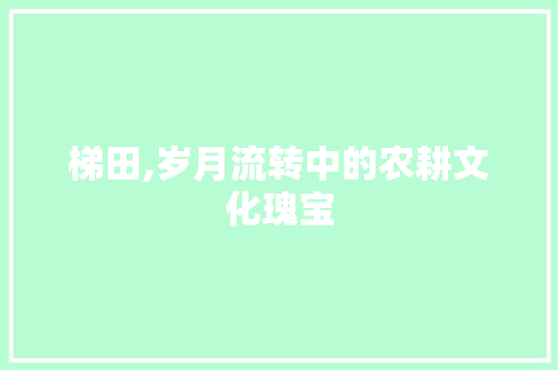 梯田,岁月流转中的农耕文化瑰宝 诗词佳句