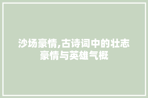 沙场豪情,古诗词中的壮志豪情与英雄气概 古代典籍