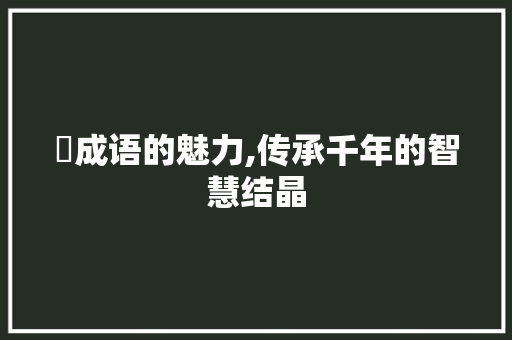 滫成语的魅力,传承千年的智慧结晶