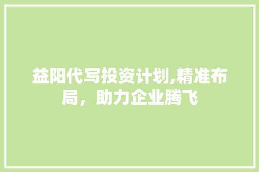 益阳代写投资计划,精准布局，助力企业腾飞