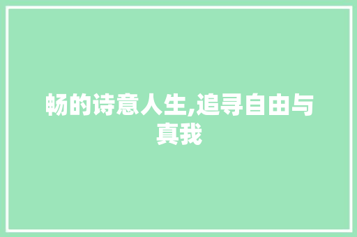畅的诗意人生,追寻自由与真我